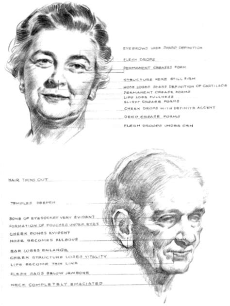 How To Draw Aging Faces And Hands And Where To Draw Wrinkles On The Head And Face How To Draw