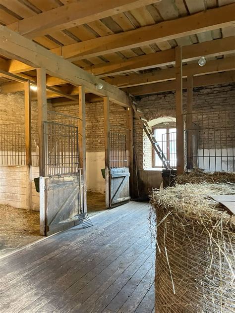 stables animal 7