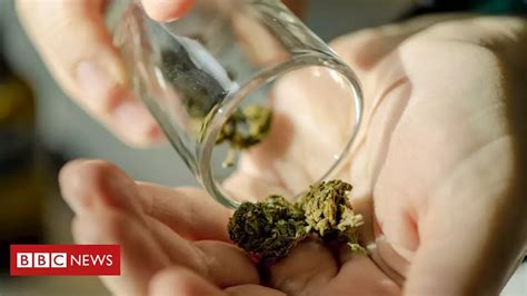 Julgamento Sobre Descriminalização Do Porte Para Uso De Drogas é Interrompido E Proposta De