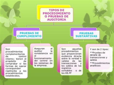 Tipos De Procedimiento De Auditoria