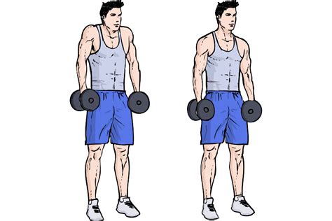 Free Workout Arms Shoulders Gym Workout Workoutlabs Fit