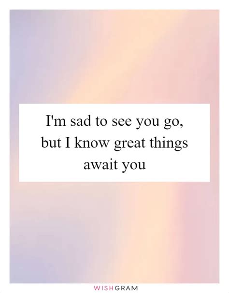 sad amazing  sad tool special activities development sap