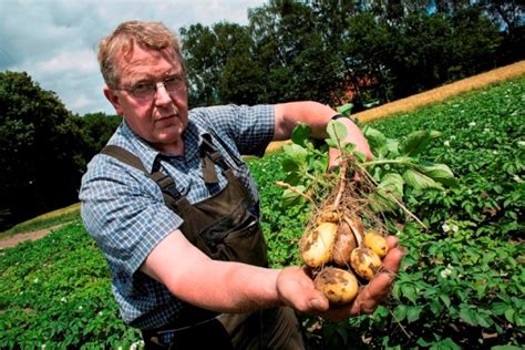 Kartoffelanbau Kartoffelhof Fartmann Warendorf Münsterland