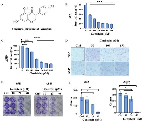 Effects Of Genistein On A549 And 95D Lung Cancer Cells A Chemical