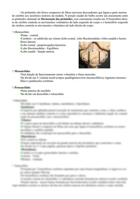 Solution Resumo Neuroanatomia Studypool