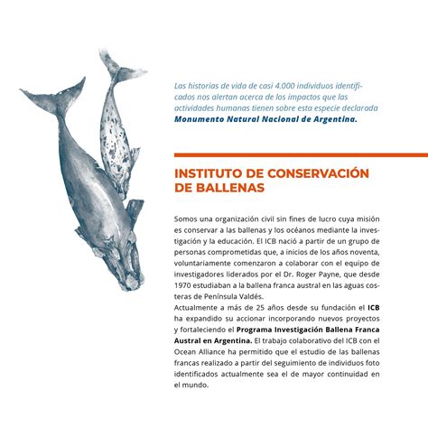 Libro Infograf A Ballena Franca Austral On Behance