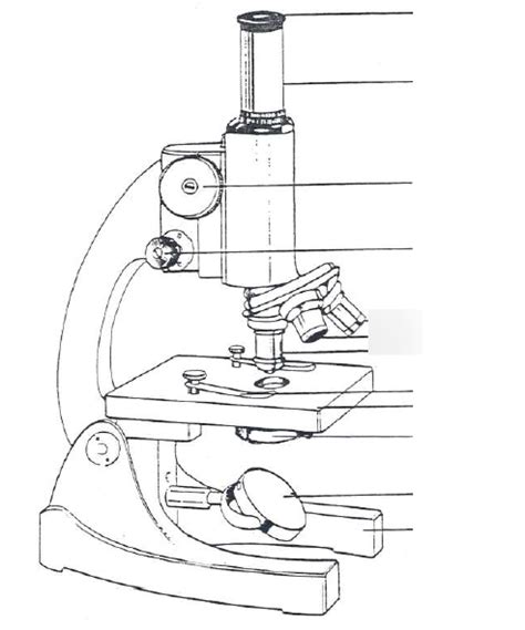 Parts Of A Microscope Diagram Quizlet