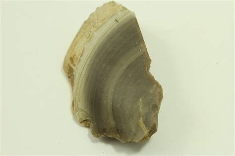 Natural Flint Nodule Section Texas Root Beer Flint Brown