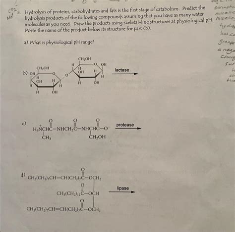 Solved 5. Hydrolysis of proteins, carbohydrates and fats is | Chegg.com