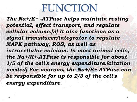 Sodium Potassium Ion Pump 1