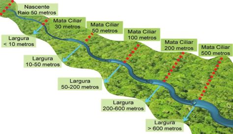 Exemplos De Onde Encontrar Mata Ciliar - Largura das faixas de mata ciliar relacionadas à largura do corpo ...