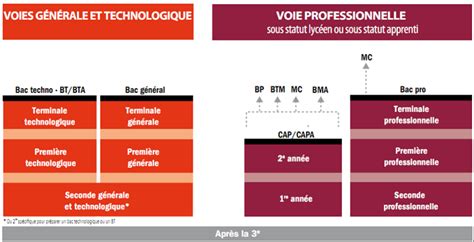 Schéma des études après la 3ème Collège Jean Rostand