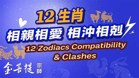 【最新直播】12生肖：相親相愛 相沖相剋 · 生肖相衝引發的矛盾能有多嚴重？ · 是否存在化解之道？ · 網友們的真實故事，揭秘生肖相剋在生活