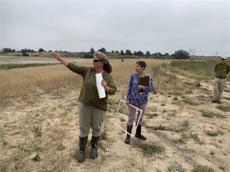 Prop Climate Resilience Miniseries Episode Elkhorn Slough Tidal