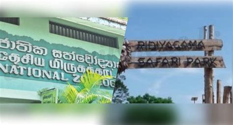 Dehiwala Zoo Ridiyagama Safari Park To Re Open To The Public Frontpage