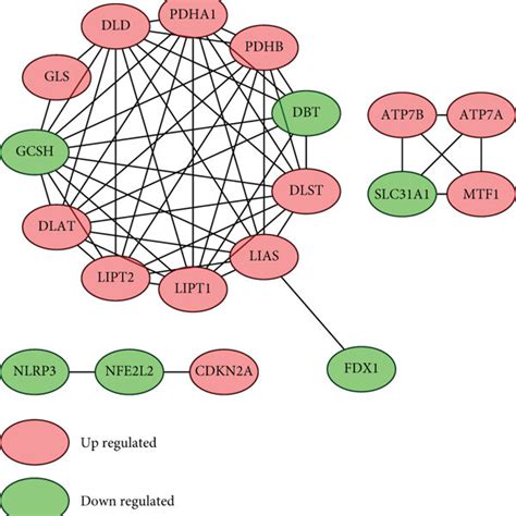 Identification Of Cuproptosis Related Degs And Exploration Of The