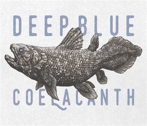 Coelacanth / Drawing | ai illustrator file | US$5.00 each | Ai & PNG File