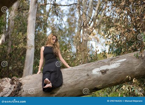 Jeune Femme Blonde Et Belle Avec Une Robe Noire Assise Sur Le Tronc D Un Grand Arbre Au Milieu