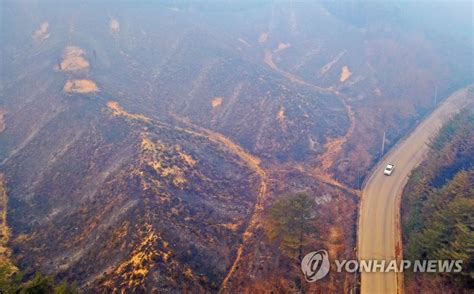 동해안 산불 산림당국 오늘 중 주불진화 목표울진·삼척 산불 진화에 헬기 53대 집중 투입강원·경북 산불 김명수