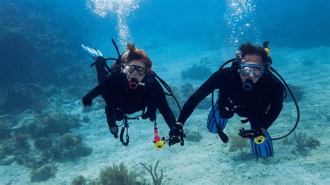 Try Dive Luxury Aed 499 Padi Courses Bermuda Diving Center