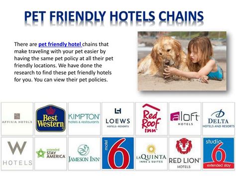 PPT - Pet-Friendly Policies Pet-Friendly Hotels Guide PowerPoint