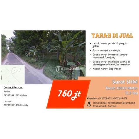 Dijual Tanah Murah Kebun Karet Di Pinggir Jalan Tanpa Perantara Di