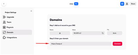 Connect Your Own Domain With Zaap Ai Tutorial