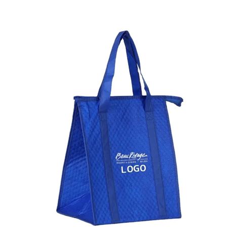 High Quality Non Woven Tote Picnic Thermal Food Cooling Lunch Insulated