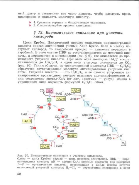 Учебник по биологии 10-11 класс Беляева Дымшица читать онлайн