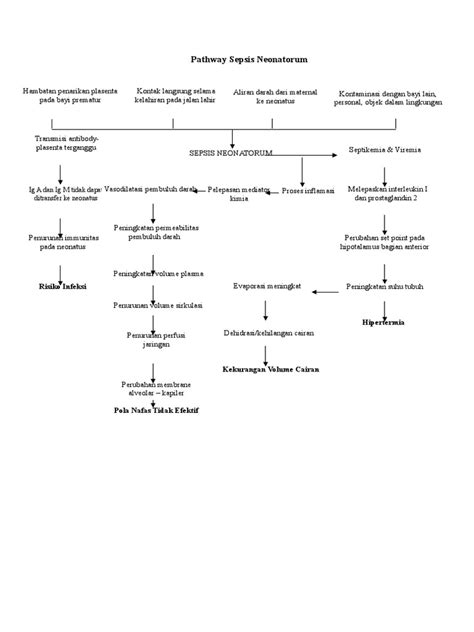 Pathway Sepsis Neonatorum Pdf