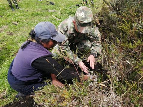 Tercera Divisi N Del Ej Rcito Nacional On Twitter