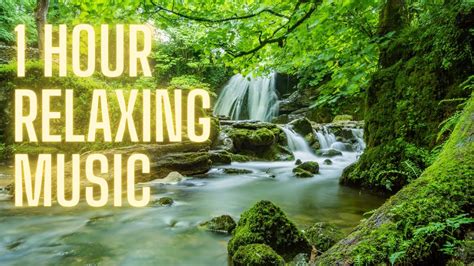 1 Hour Relaxing Music For Mind Body YouTube