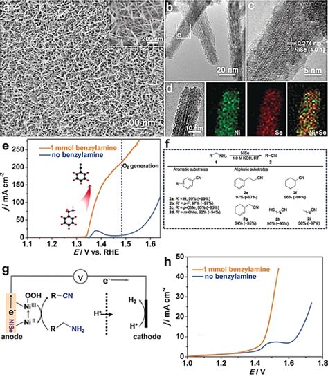 A Sem Image B Tem Image C Hrtem Image And D Energydispersive