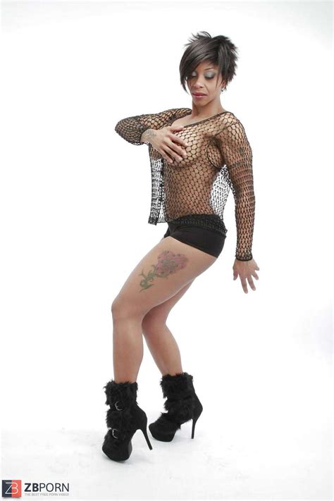 Porn Industry Star Kitten ZB Porn