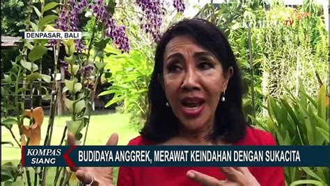 Edukasi Budidaya Anggrek Oleh Wanita Tani Indonesia Di Bali Video