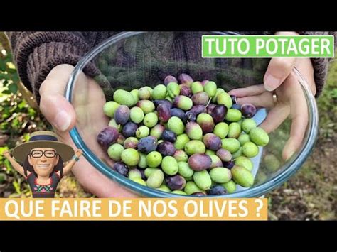 Comment Conserver Les Olives Vertes Pizza Al Maestro