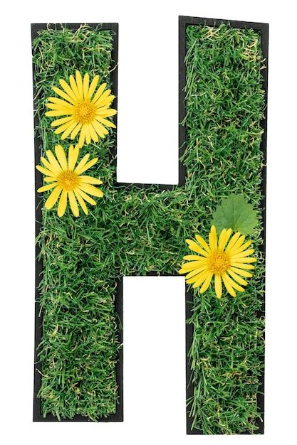 Lettre H Faite D Herbe Verte Avec Des Fleurs Isol Es Sur Blanc Photo