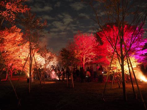 京都 二条城がライトアップFLOWERS BY NAKED を観に行った感想 ルーム