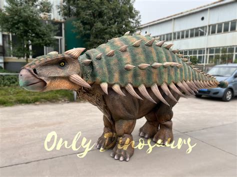 Vivid Two-person Ankylosaurus Costume | Only Dinosaurs