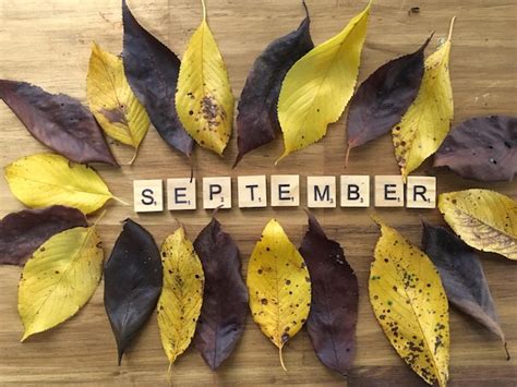 Premium Photo | September month fall season