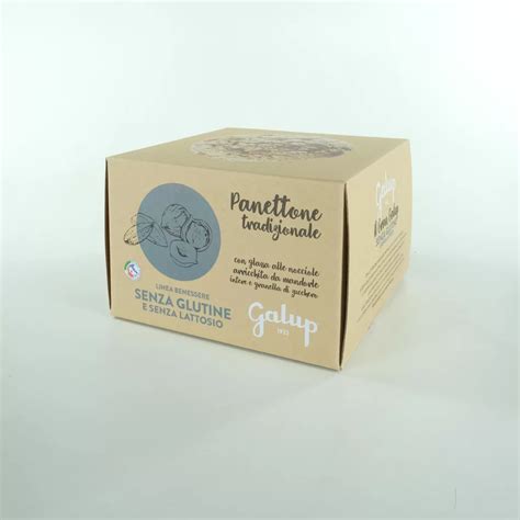 Panettone Senza Glutine Con Gocce Di Cioccolato Gr 400 Galup