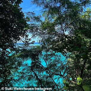 Pregnant Suki Waterhouse Bares Her Baby Bump In A Bikini During