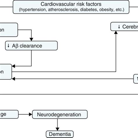 Vascular Hypothesis Explaining The Link Between Vascular Dysfunction