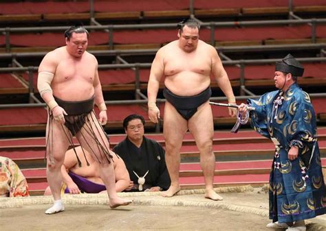 白鵬と鶴竜「注意」は適正か 横審に疑問の声 稀勢の里は8場所連続休場でも「激励」止まり Zakzak：夕刊フジ公式サイト