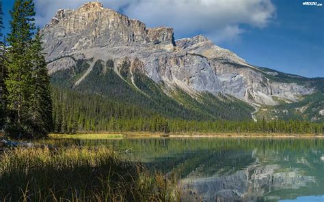 Park Narodowy Yoho Góry Skaliste Jezioro Emerald Lake Drzewa