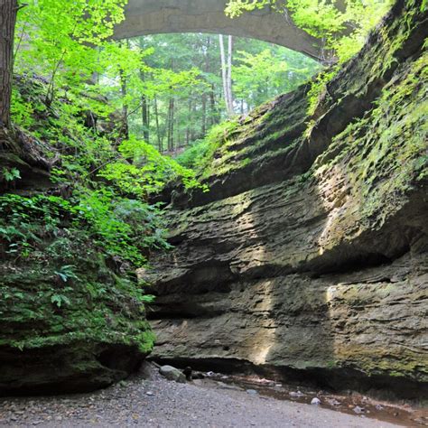 Explore the Rugged Trails of Turkey Run State Park • CompassOhio