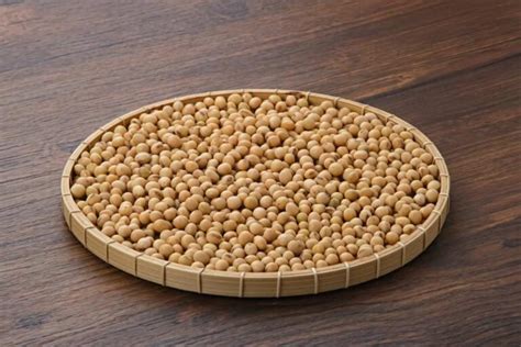 High Yielding Soybean Varieties In India Hybrid Cultivars For