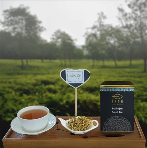 Rare Assam Tea Sold For ₹1 Lakh Per Kg At Auction