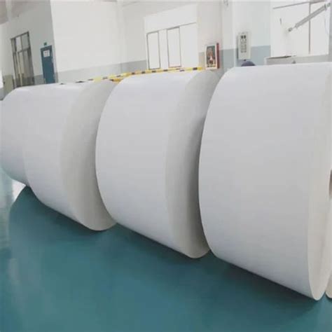 Jumbo Roll Thermal Paper For Cash Registers For Printing At Rs Roll