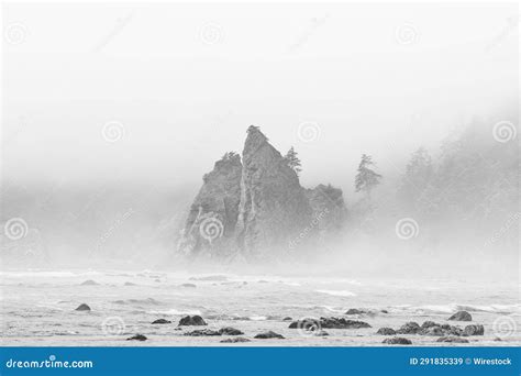 Sea Stacks at Rialto Beach Washington in the Morning Fog. Stock Image ...